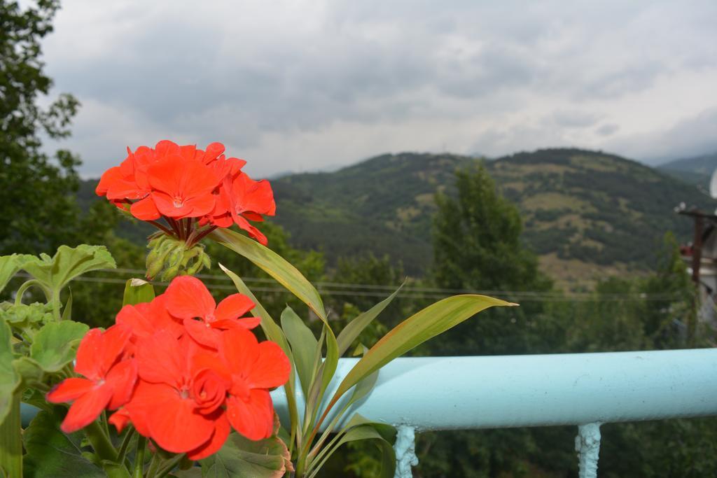 Sweet Home Dilijan Exterior photo